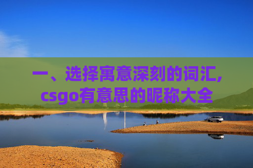 一、选择寓意深刻的词汇,csgo有意思的昵称大全