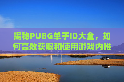 揭秘PUBG单子ID大全，如何高效获取和使用游戏内唯一识别码,Pub g没人用的单子ID