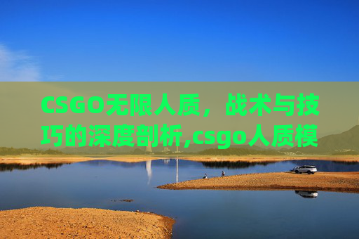 CSGO无限人质，战术与技巧的深度剖析,csgo人质模式怎么玩