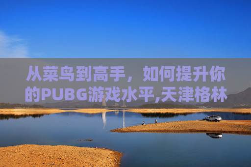 从菜鸟到高手，如何提升你的PUBG游戏水平,天津格林国际幼儿园学费