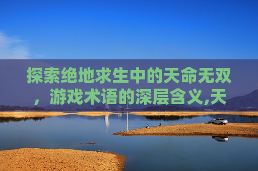 探索绝地求生中的天命无双，游戏术语的深层含义,天津格林国际幼儿园学费