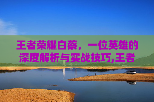 王者荣耀白蔡，一位英雄的深度解析与实战技巧,王者荣耀白芳