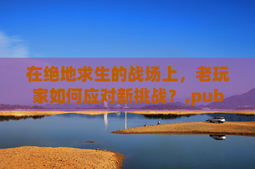 在绝地求生的战场上，老玩家如何应对新挑战？,pubg beami