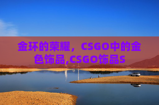 金环的荣耀，CSGO中的金色饰品,CSGO饰品S