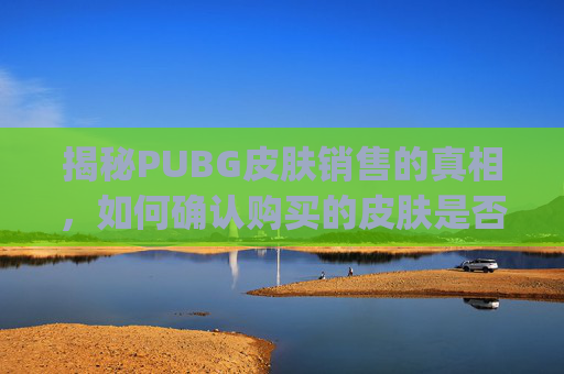 揭秘PUBG皮肤销售的真相，如何确认购买的皮肤是否真实有效？,pubg皮肤怎么交易