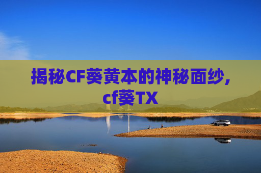 揭秘CF葵黄本的神秘面纱,cf葵TX