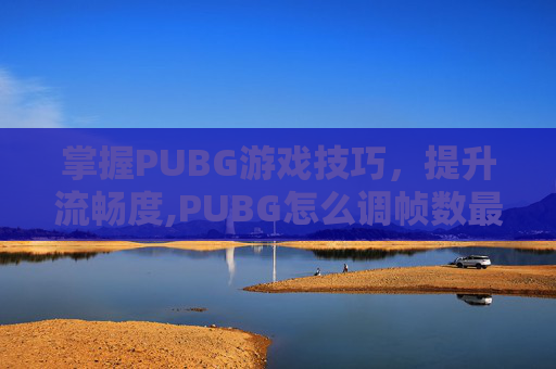 掌握PUBG游戏技巧，提升流畅度,PUBG怎么调帧数最流畅
