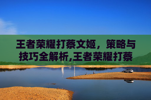 王者荣耀打蔡文姬，策略与技巧全解析,王者荣耀打蔡文姬怎么打