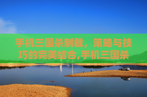 手机三国杀制裁，策略与技巧的完美结合,手机三国杀制裁有什么用