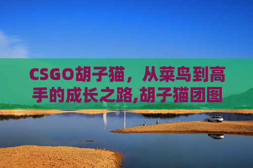 CSGO胡子猫，从菜鸟到高手的成长之路,胡子猫团图片