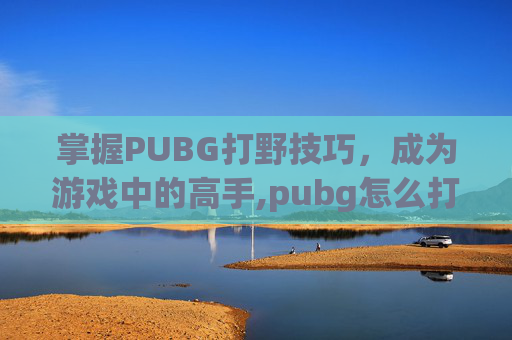 掌握PUBG打野技巧，成为游戏中的高手,pubg怎么打人冒血明显