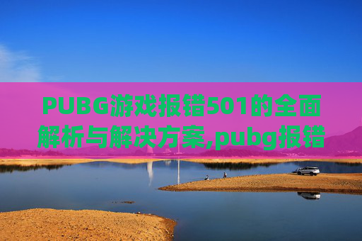 PUBG游戏报错501的全面解析与解决方案,pubg报错25