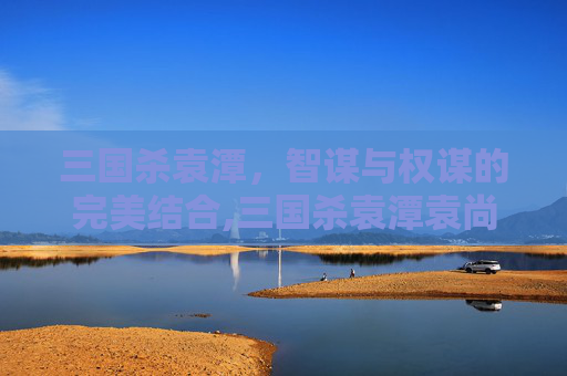 三国杀袁潭，智谋与权谋的完美结合,三国杀袁潭袁尚