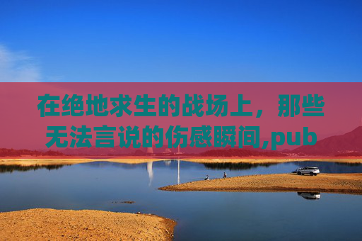 在绝地求生的战场上，那些无法言说的伤感瞬间,pubgmobile伤感视频