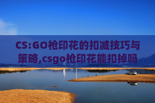 CS:GO枪印花的扣减技巧与策略,csgo枪印花能扣掉吗