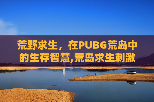 荒野求生，在PUBG荒岛中的生存智慧,荒岛求生刺激战场