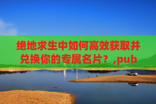 绝地求生中如何高效获取并兑换你的专属名片？,pubg怎么换名片