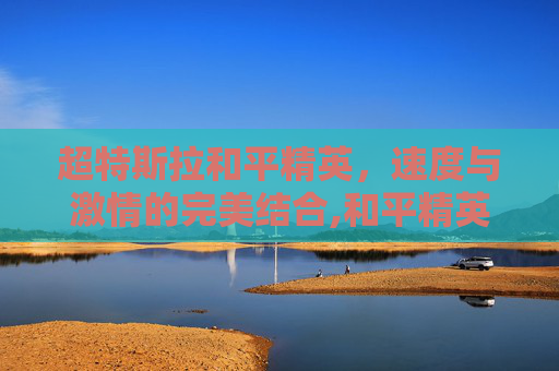 超特斯拉和平精英，速度与激情的完美结合,和平精英特斯拉是ss14吗