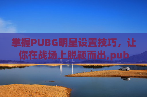 掌握PUBG明星设置技巧，让你在战场上脱颖而出,pubg如何设置准星