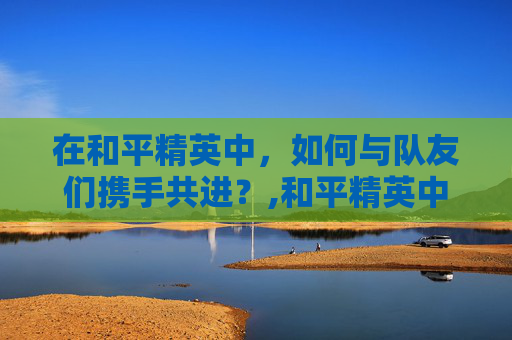 在和平精英中，如何与队友们携手共进？,和平精英中的队友们是什么