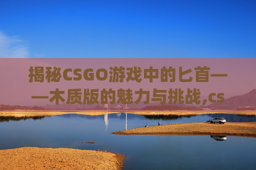 揭秘CSGO游戏中的匕首——木质版的魅力与挑战,csgo匕首推荐
