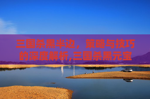 三国杀黑半边，策略与技巧的深度解析,三国杀黑元宝