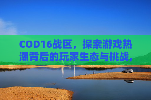 COD16战区，探索游戏热潮背后的玩家生态与挑战,cod16的战区哪里去了