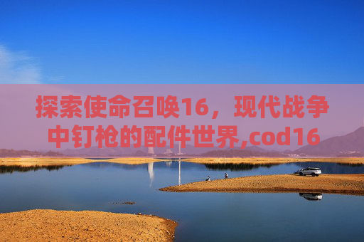 探索使命召唤16，现代战争中钉枪的配件世界,cod16枪械配件推荐
