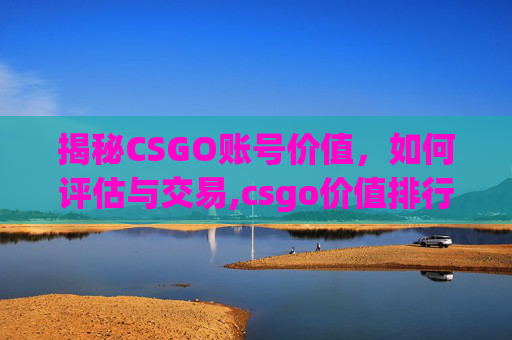 揭秘CSGO账号价值，如何评估与交易,csgo价值排行