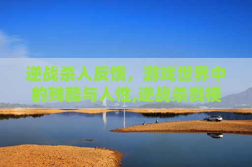 逆战杀人反馈，游戏世界中的残酷与人性,逆战杀戮模式