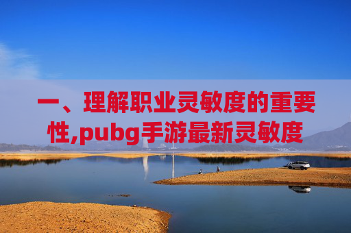 一、理解职业灵敏度的重要性,pubg手游最新灵敏度