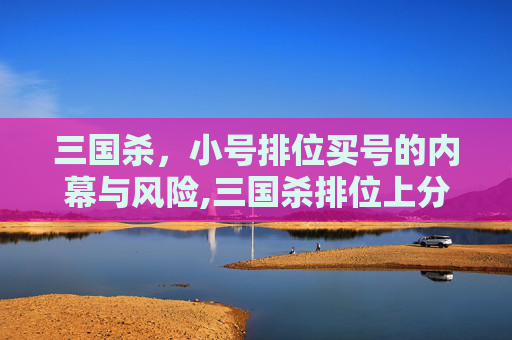 三国杀，小号排位买号的内幕与风险,三国杀排位上分小技巧
