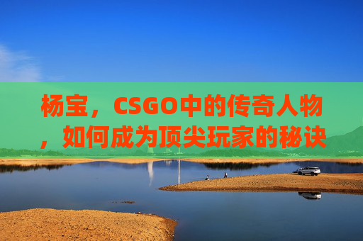 杨宝，CSGO中的传奇人物，如何成为顶尖玩家的秘诀,csgo 杨队