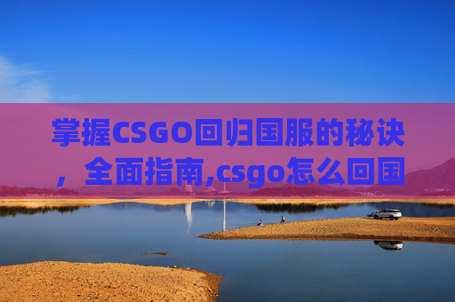 掌握CSGO回归国服的秘诀，全面指南,csgo怎么回国服
