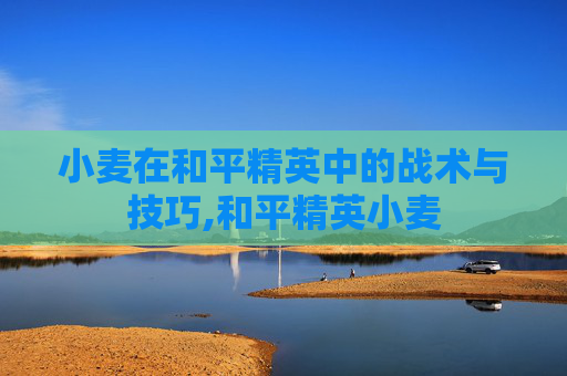 小麦在和平精英中的战术与技巧,和平精英小麦