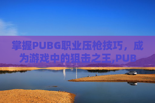 掌握PUBG职业压枪技巧，成为游戏中的狙击之王,PUBG步枪压枪
