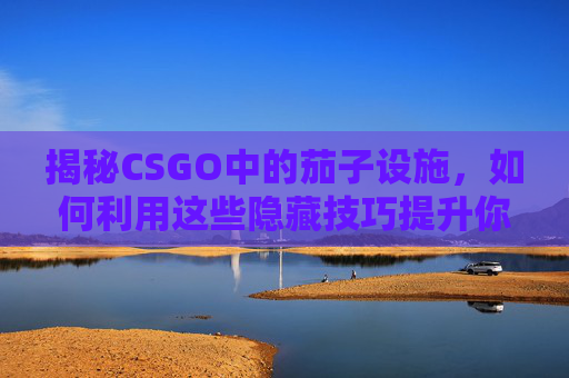 揭秘CSGO中的茄子设施，如何利用这些隐藏技巧提升你的游戏水平,CSGO 茄子