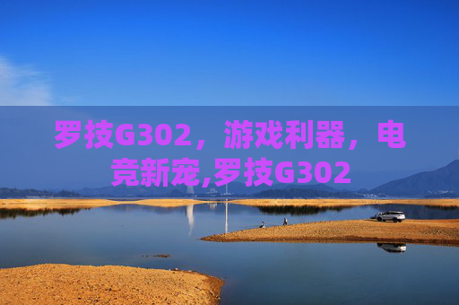 罗技G302，游戏利器，电竞新宠,罗技G302