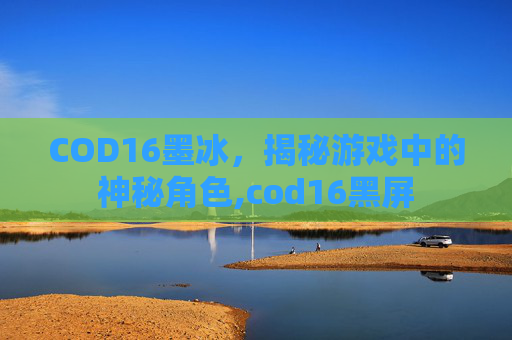 COD16墨冰，揭秘游戏中的神秘角色,cod16黑屏