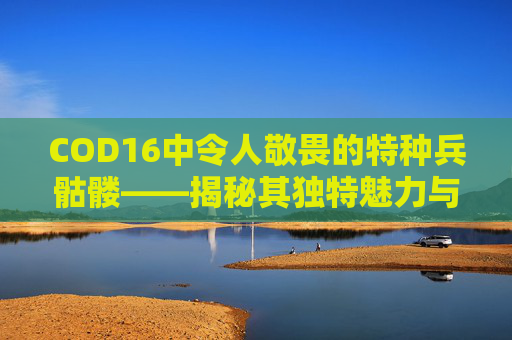 COD16中令人敬畏的特种兵骷髅——揭秘其独特魅力与战斗技巧,cod16特战武器包