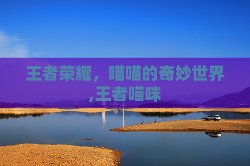 王者荣耀，喵喵的奇妙世界,王者喵咪