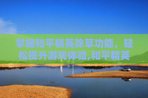 掌握和平精英除草功能，轻松提升游戏体验,和平精英除草助手