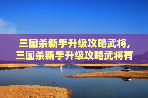 三国杀新手升级攻略武将,三国杀新手升级攻略武将有哪些