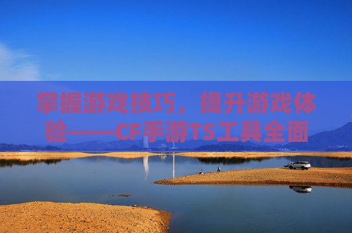 掌握游戏技巧，提升游戏体验——CF手游TS工具全面解析,CF手游工具钳