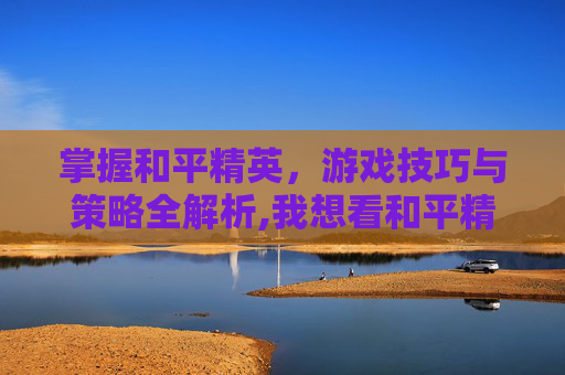 掌握和平精英，游戏技巧与策略全解析,我想看和平精英的软件有哪些