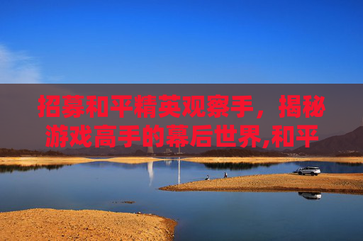 招募和平精英观察手，揭秘游戏高手的幕后世界,和平精英观察期是什么意思