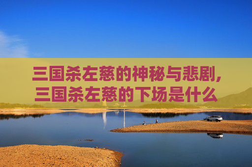 三国杀左慈的神秘与悲剧,三国杀左慈的下场是什么
