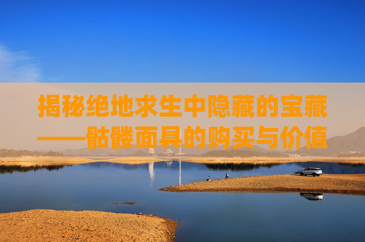 揭秘绝地求生中隐藏的宝藏——骷髅面具的购买与价值分析,pubg死神面具多少钱