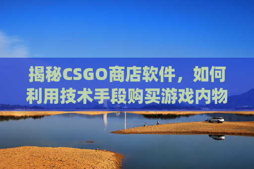 揭秘CSGO商店软件，如何利用技术手段购买游戏内物品,csgo买东西软件