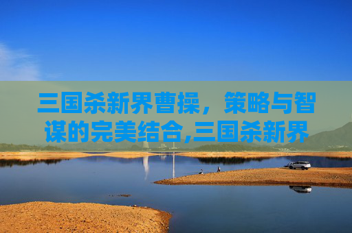 三国杀新界曹操，策略与智谋的完美结合,三国杀新界马超